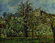 Camille Pissarro Obstgarten mit bluhenden Baumen oil on canvas